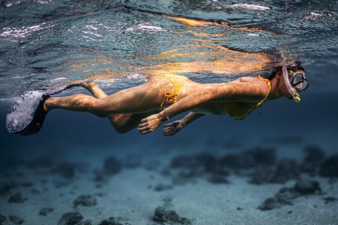 Turtle Snorkeling Aruba: Private Tour with Video - Who will enjoy this Aruba snorkeling trip most?