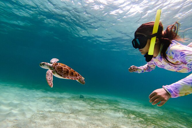 Turtle Snorkeling Tour in Tres Trapi, Aruba - What happens during the water briefing