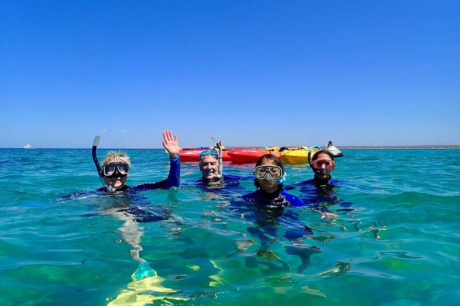 Turtle Tour - Ningaloo Reef Half Day Sea Kayak and Snorkel Tour - Key points at a glance