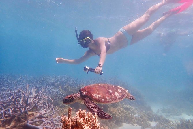 Turtle Tour - Ningaloo Reef Half Day Sea Kayak and Snorkel Tour - What is included, and what you still need