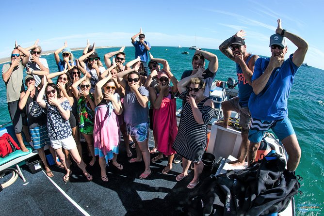 Turtle Tour - Ningaloo Reef Half Day Sea Kayak and Snorkel Tour - Who should book this experience?