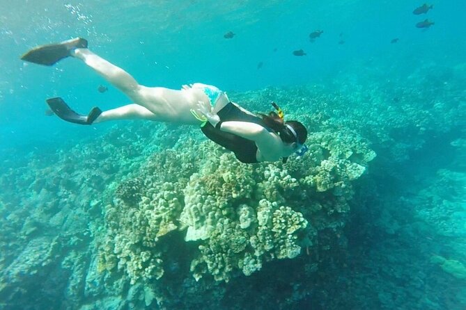 Two Reef Snorkel Trip-See Captain Cook Monument & Sea Caves - Cancellation and weather details