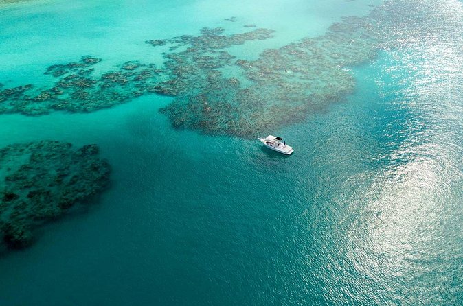 Two Stop Snorkel and Shipwreck from Dockyard - The reef stop: fish, coral, and a calmer second look