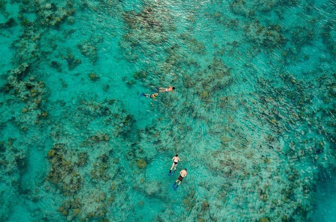 Two Stop Snorkel and Shipwreck from Dockyard - Who should book this Bermuda snorkel trip