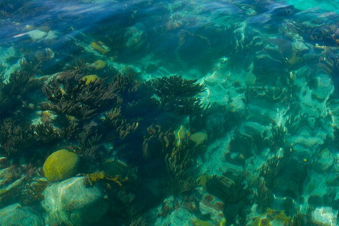 Two Stop Snorkel and Shipwreck from Dockyard - The shipwreck stop: structure, fish, and rougher water