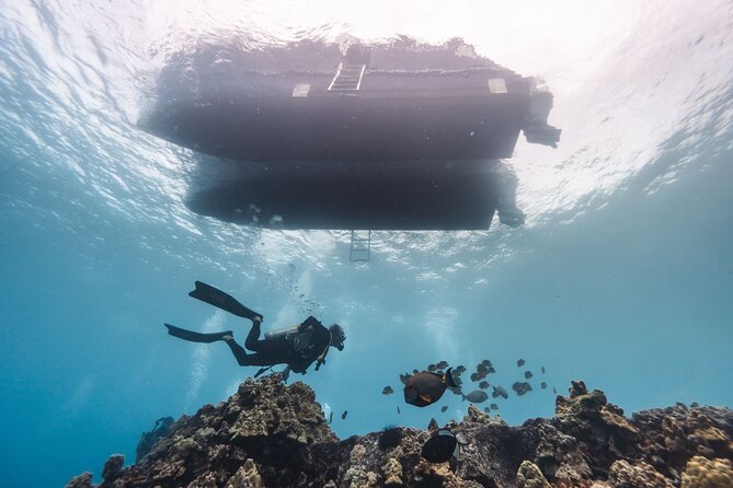 Two Tank Morning Reef Dive and Snorkel - Why Kona’s volcanic coast makes this outing worthwhile