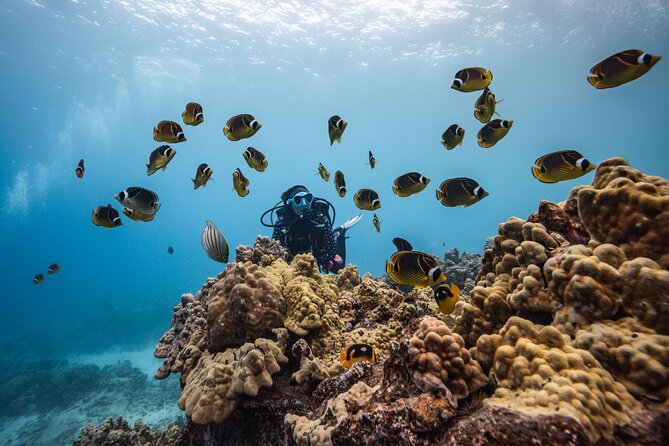 Two Tank Morning Reef Dive and Snorkel - A good setup for mixed groups