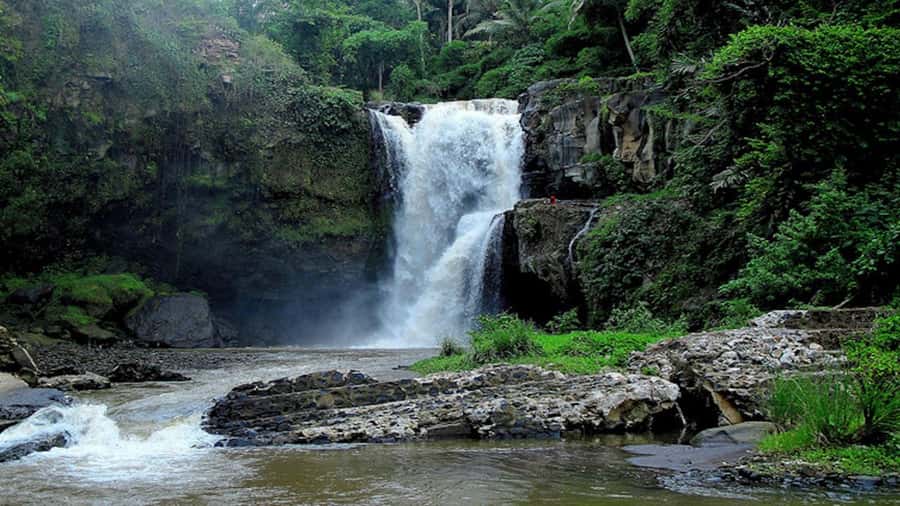 Ubud: Tegenungan Waterfall, Snorkeling, and Canyoning Tour - Should you book the Tegenungan, snorkeling, and canyon tour?