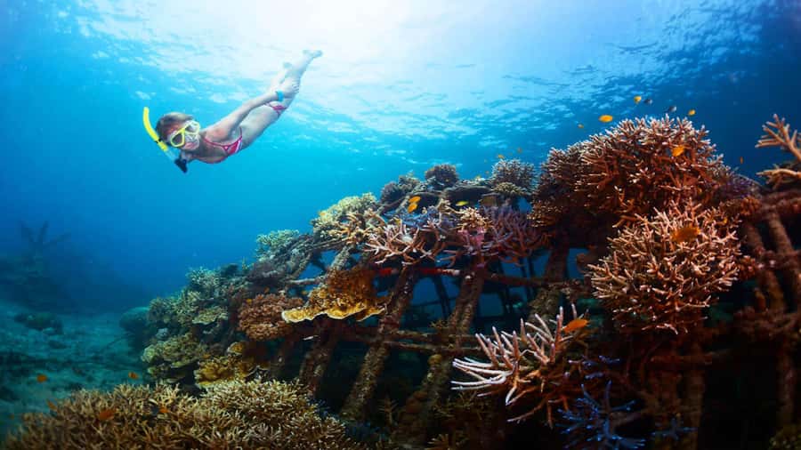 Ubud: Tegenungan Waterfall, Snorkeling, and Canyoning Tour - Why this eight-hour Bali outing works