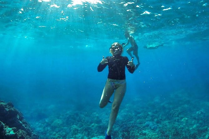 Ultimate 4 Hour Lanai Snorkel and Dolphin Encounter - What the crew does well