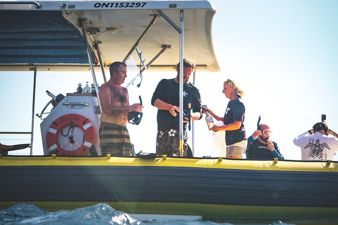 Ultimate 4 Hour Lanai Snorkel and Dolphin Encounter - How the $175 price compares with the experience