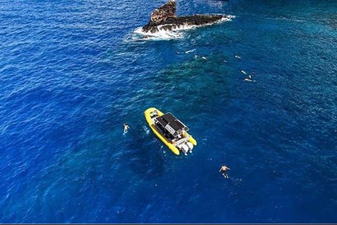 Ultimate 4 Hour Lanai Snorkel and Dolphin Encounter - Comfort, timing, and what to pack