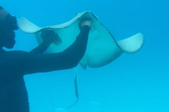 Ultimate Barbados Beach Day And Snorkel Cruise - Pickup can make or break the day