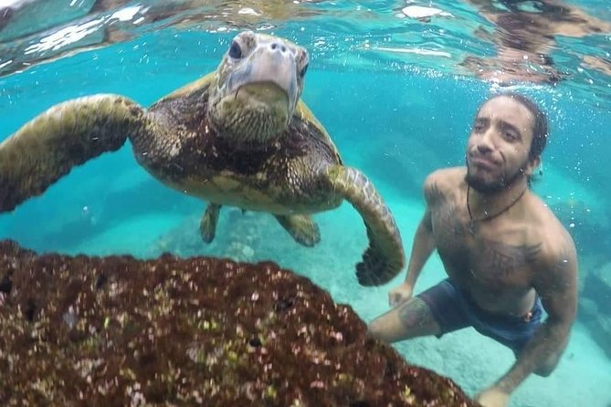 Ultimate Ocean Encounters Midday Snorkel - A 1 pm start on the Kona Coast
