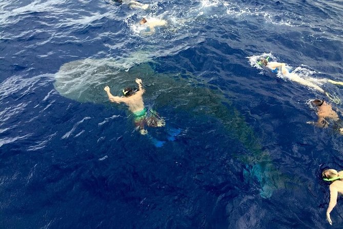 Ultimate Ocean Encounters Midday Snorkel - Refreshments and the small-boat feel
