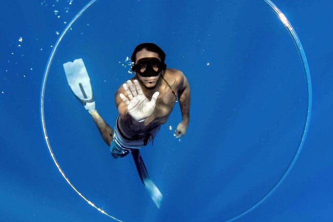Ultimate Ocean Encounters Midday Snorkel - Who should choose the midday snorkel?