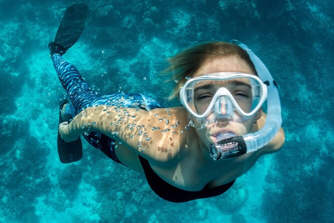 Uncharted Marine Reserve Cave, Snorkel & Cliff Jumping Kayak Tour - Inside the sea cave at San Antonio