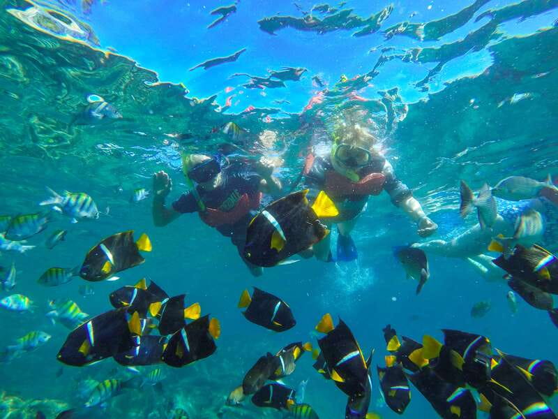 Vallarta: Yelapa Waterfall & Majahuitas Snorkel Adventure - Majahuitas: the better stop for water time
