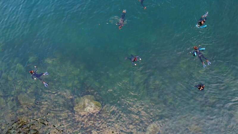 Vancouver: Snorkeling Seals Kayaking Scenic Boat Tour - Weather, timing, and cancellation details