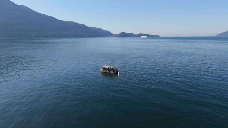 Vancouver: Snorkeling Seals Kayaking Scenic Boat Tour - Who will enjoy this most