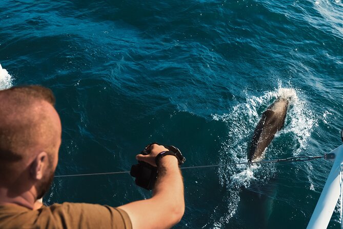 VIP Catamaran 4 hour Activity with Snorkeling in Bulgaria - Lunch, drinks, and service on board