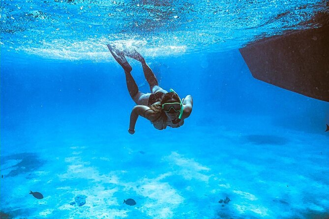 VIP Morning Delight Champagne Sailing and Snorkeling with Lunch - Malmok Beach: an easy first snorkel