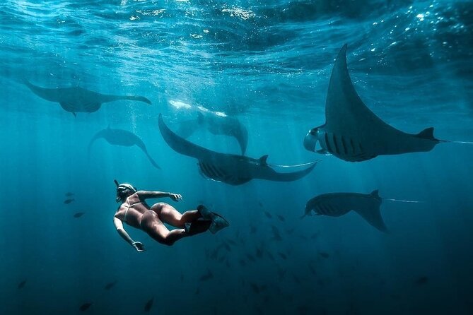 VIP Private Boat to Nusa Penida: Snorkeling with Mantas + Land Tour Adventure - Gamat Bay and Wall Bay Point