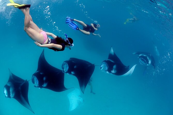 VIP Private Boat to Nusa Penida: Snorkeling with Mantas + Land Tour Adventure - Who Will Enjoy This Most