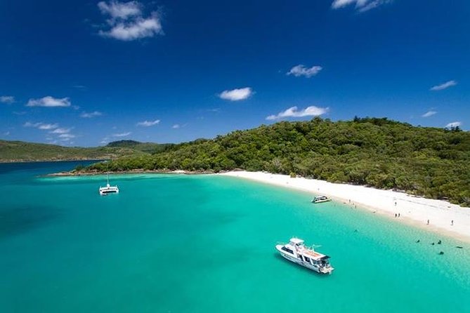 Viper: Great Barrier Reef Snorkel Including Whitehaven Hill Inlet - Useful details for making the day easier