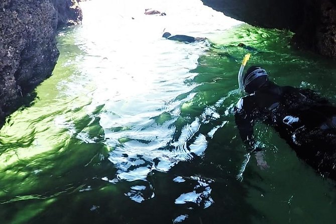 Visit Secret Caves, Hidden Beaches and Snorkel in Alvor, Portugal - Marine biology instead of a simple swim