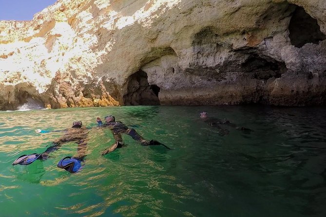 Visit Secret Caves, Hidden Beaches and Snorkel in Alvor, Portugal - Snorkeling above underwater gardens