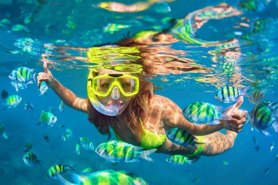 Waikiki: 5-in-1 Turtle Snorkeling Trip with Shuttle Option - The trampoline, water slide, and 20-foot jump
