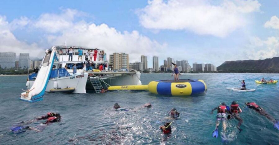 Waikiki: 5-in-1 Turtle Snorkeling Trip with Shuttle Option - Snorkeling with the chance to see turtles