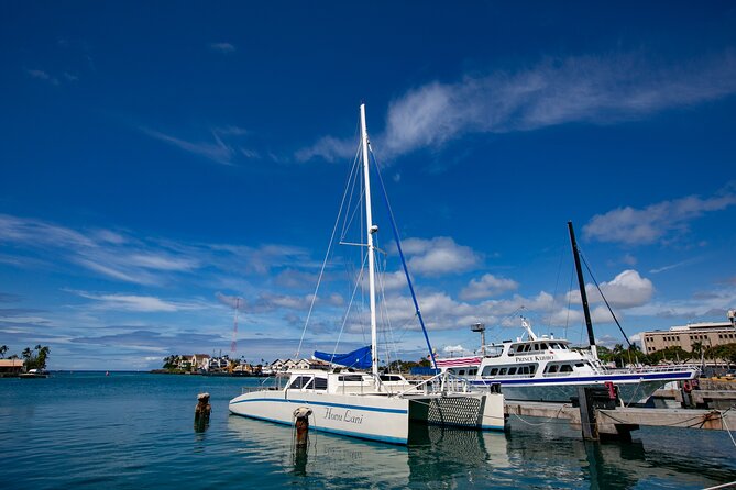 Waikiki Catamaran Snorkel Sail with Lunch: Turtles Guaranteed - Getting into the water at Turtle Canyon