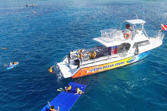 Waikiki, Hawaii: Turtle Canyon Snorkel Excursion - Starting at Living Ocean Tours near Ala Moana