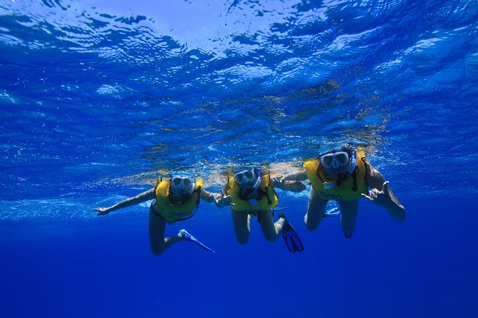 Waikiki, Hawaii: Turtle Canyon Snorkel Excursion - Snacks, refreshments, and the pace of the outing