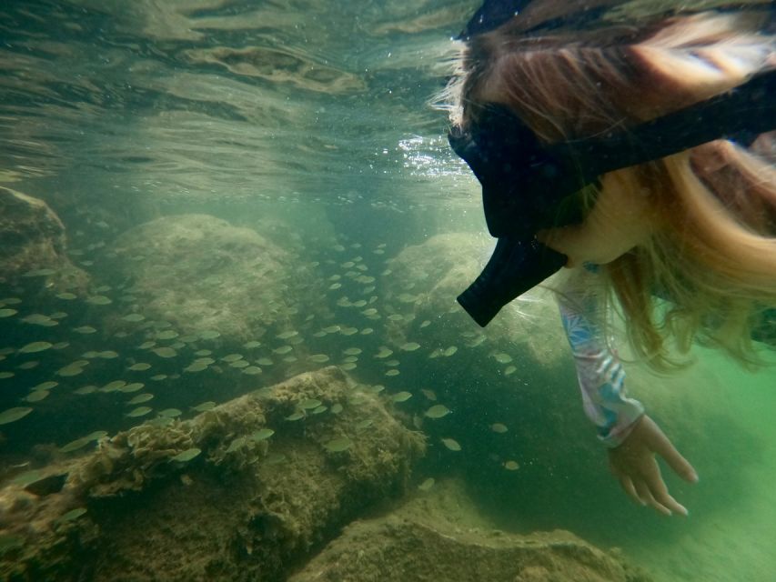 Waikiki: Honolulu Beginner Snorkeling Tour with Videos - Key points to know before booking