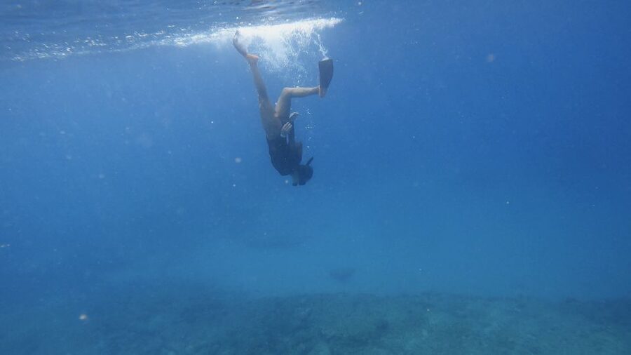 Waikiki: Honolulu Beginner Snorkeling Tour with Videos - Why Magic Island Lagoon works for first-time snorkelers