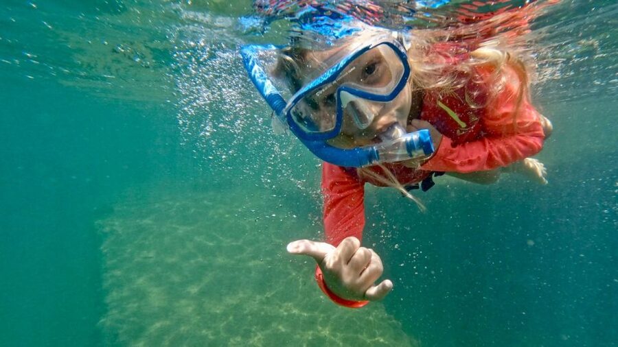 Waikiki: Honolulu Beginner Snorkeling Tour with Videos - Is $59 a fair price?