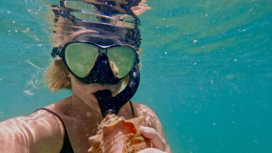 Waikiki: Honolulu Beginner Snorkeling Tour with Videos - Getting to the meeting point without confusion