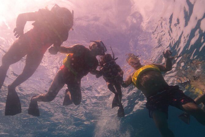 Waikiki: Turtle Canyon Snorkel - How the crew handles first-time snorkelers