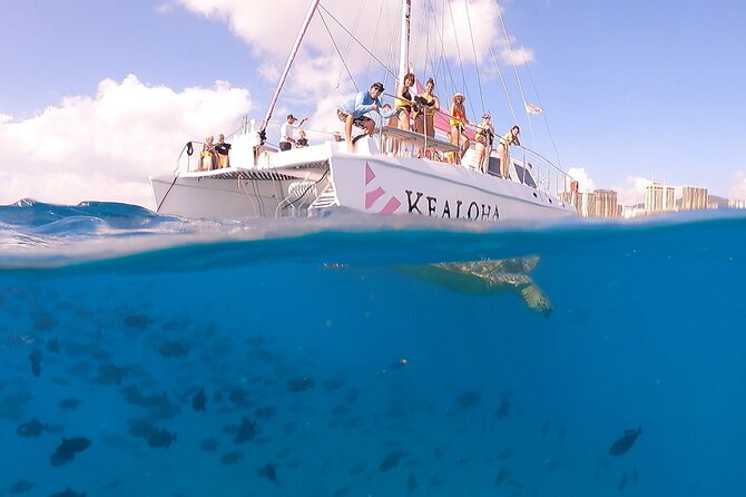 Waikiki: Turtle Canyon Snorkel - Price, group size, and overall value