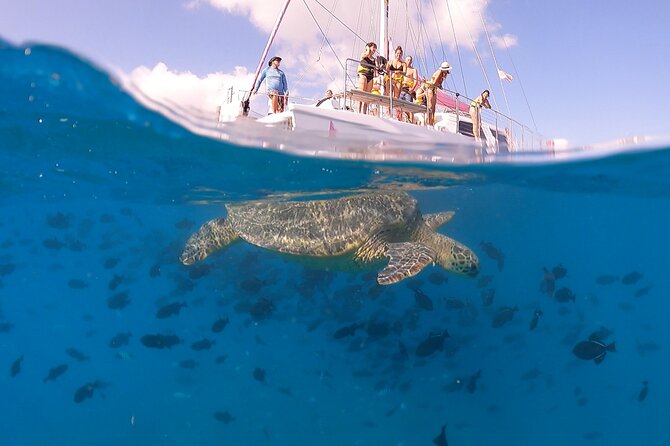 Waikiki: Turtle Canyon Snorkel - Weather, cancellations, and practical planning