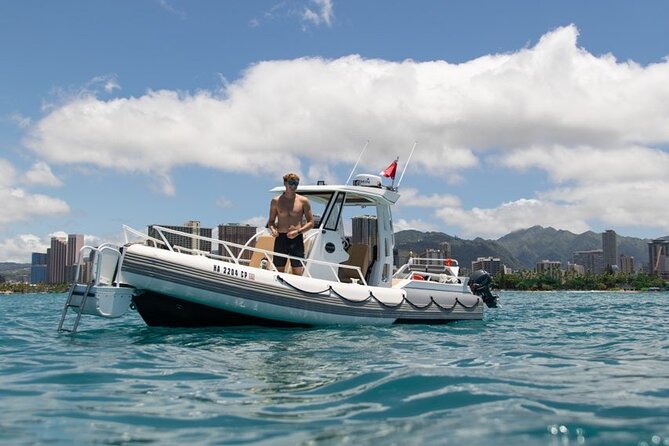 Waikiki Turtle Canyon Snorkel: Turtles Guaranteed - Seasickness and comfort in open water