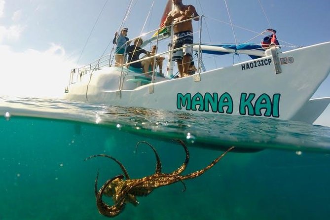 Waikiki Turtle Snorkel and Sail on Hawea Catamaran - A smooth start at the Duke Kahanamoku Statue