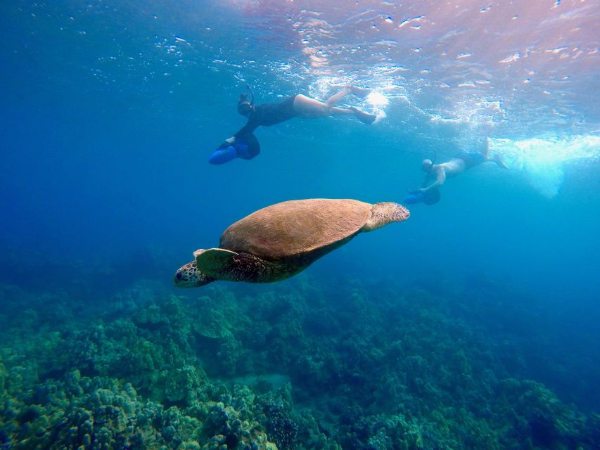 Wailea Beach: Guided Sea Scooter Snorkeling Tour - Why a sea scooter changes the Wailea snorkeling experience