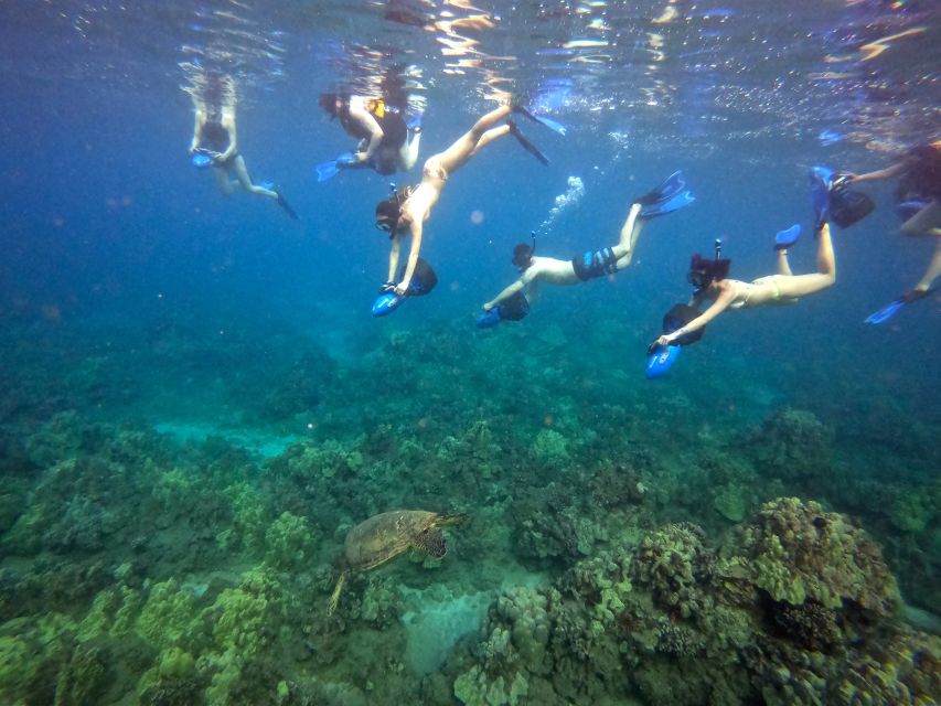 Wailea Beach: Guided Sea Scooter Snorkeling Tour - What the $149 price includes