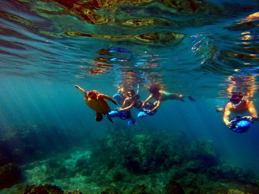 Wailea Beach: Guided Sea Scooter Snorkeling Tour - Who should book, and who should choose something else