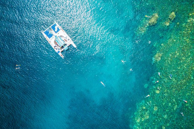 West Maui Afternoon Snorkel from Ka’anapali Beach - Key things to know before you book