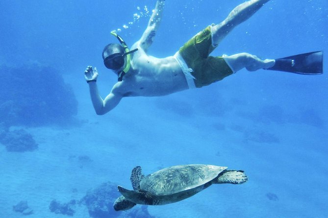 West Maui Half Day Snorkel from Ka’anapali Beach - Breakfast first, then a search for marine life